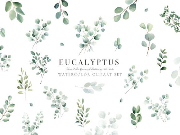 Eucalyptus Watercolor Clipart Set: A Versatile Creative Resource